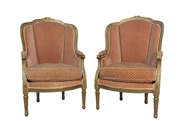 Pair of 20th Century French Louis XVI Style Bergeres DLW