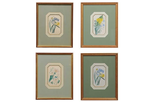 Four English 20th Century Botanical Prints with Yellow, Blue and White Flowers