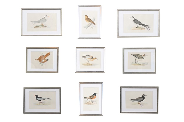 SOLD - Set of Nine English Prints Depicting Birds in Silver Frames, circa 1891
