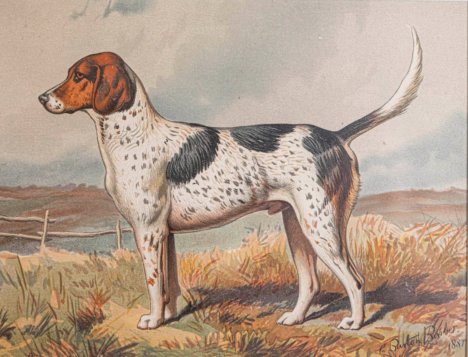 Cassell, Petter, Galpin & Co Chromolithograph Dog Prints in Black Frames - JAA