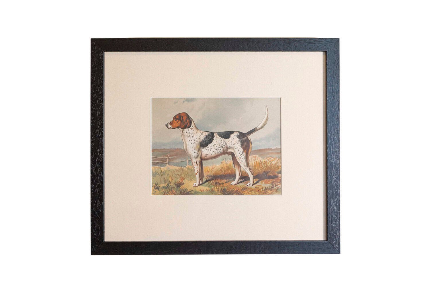 Cassell, Petter, Galpin & Co Chromolithograph Dog Prints in Black Frames - JAA