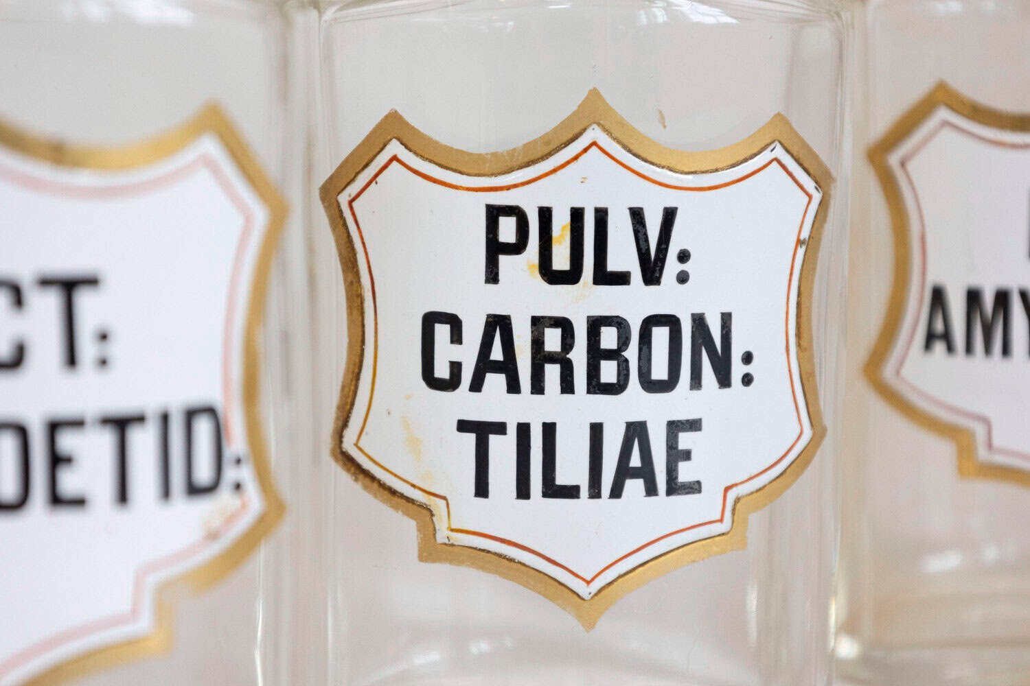 French Louis-Philippe Period 1840s Glass Apothecary Jars with Latin Labels - JAA