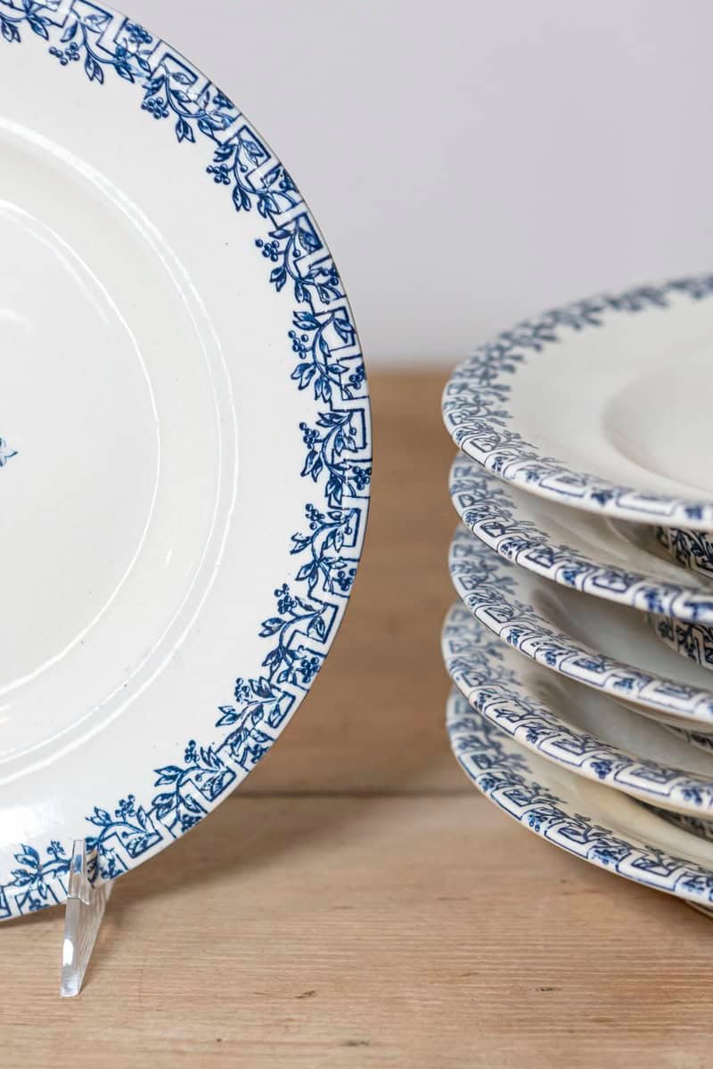French Terre de Fer 19th Century Blue and White Asparagus Plates - JAA