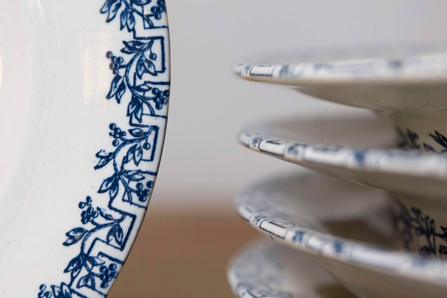 French Terre de Fer 19th Century Blue and White Asparagus Plates - JAA