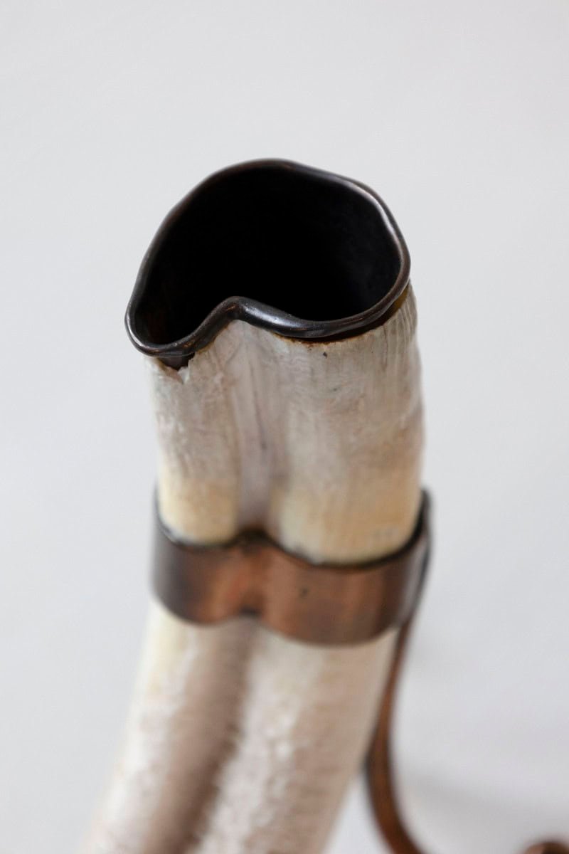 Rustic Pair of 19th Century Game Animal Horns Mounted on Scrolling Metal Stands - JAA