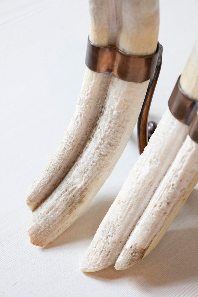 Rustic Pair of 19th Century Game Animal Horns Mounted on Scrolling Metal Stands - JAA