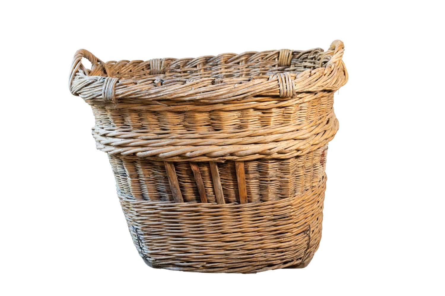 French Early 20th Century Wicker Grape Harvesting Basket