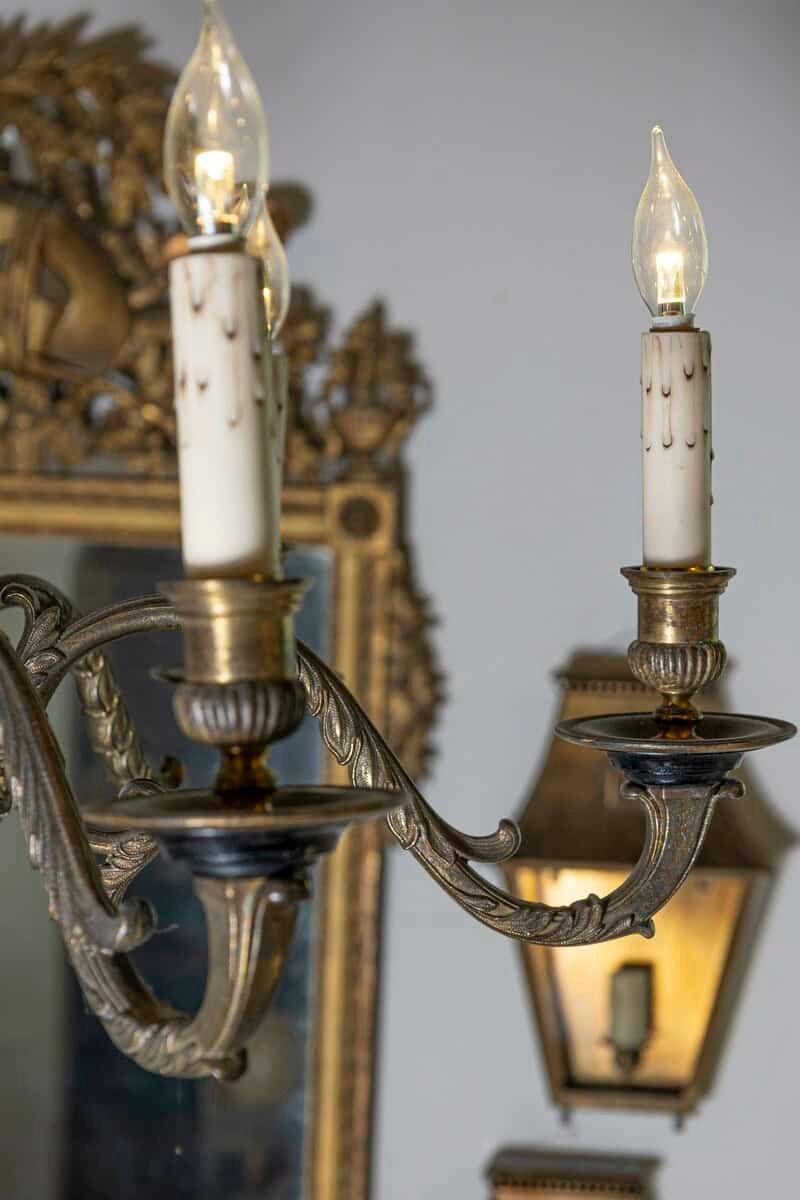 French 1860s Napoleon III Ebonized Wood and Bronze Six-Light Chandelier - JAA