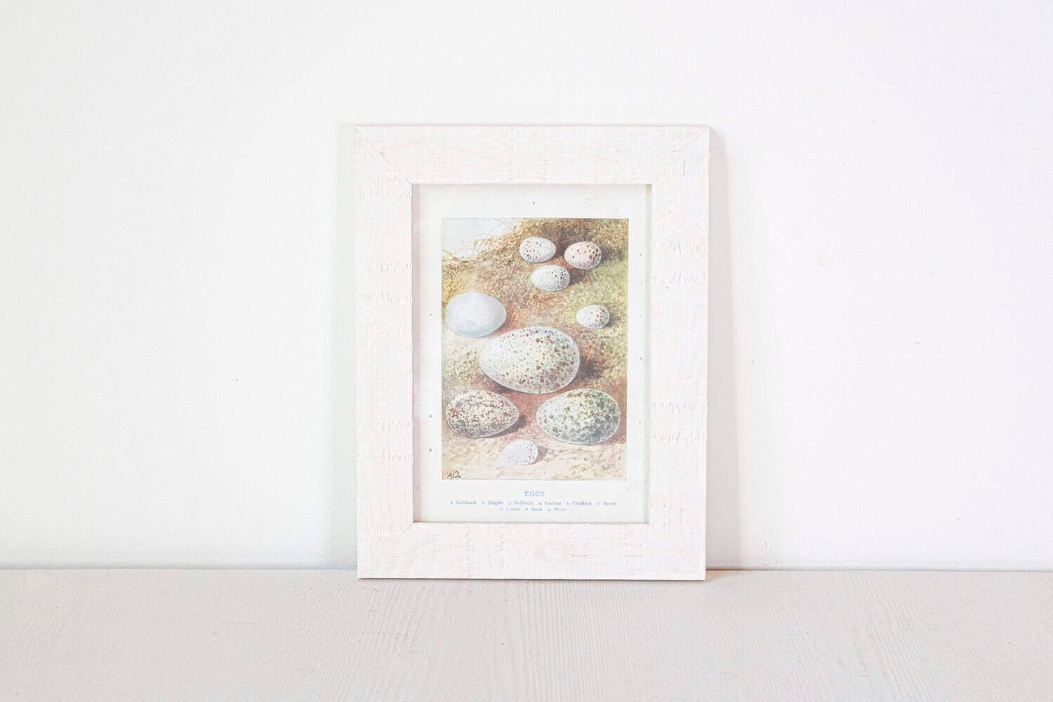English Egg Prints from the 20th Century in Custom Wooden Frames, Priced Each - JAA
