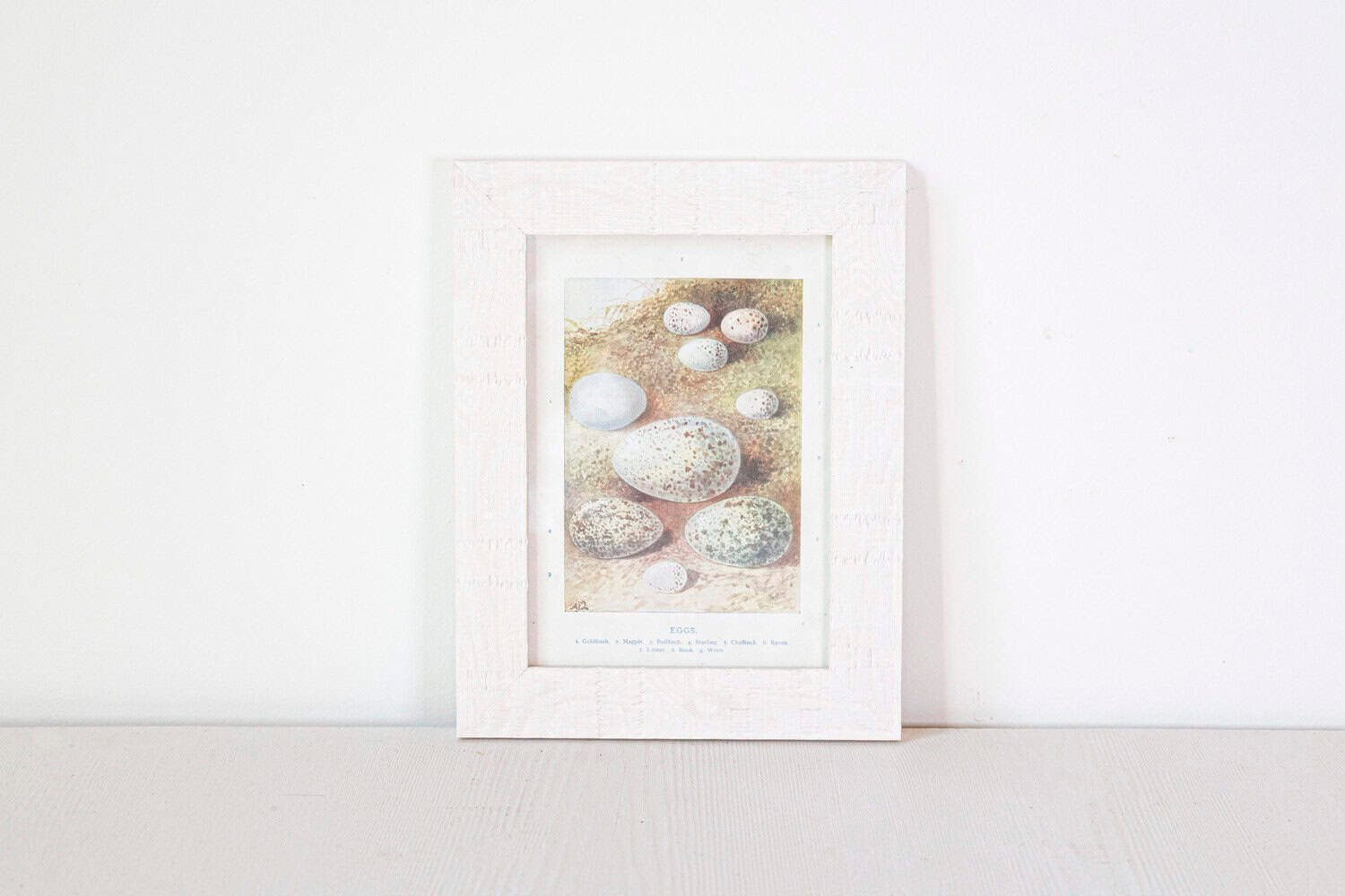 English Egg Prints from the 20th Century in Custom Wooden Frames, Priced Each - JAA