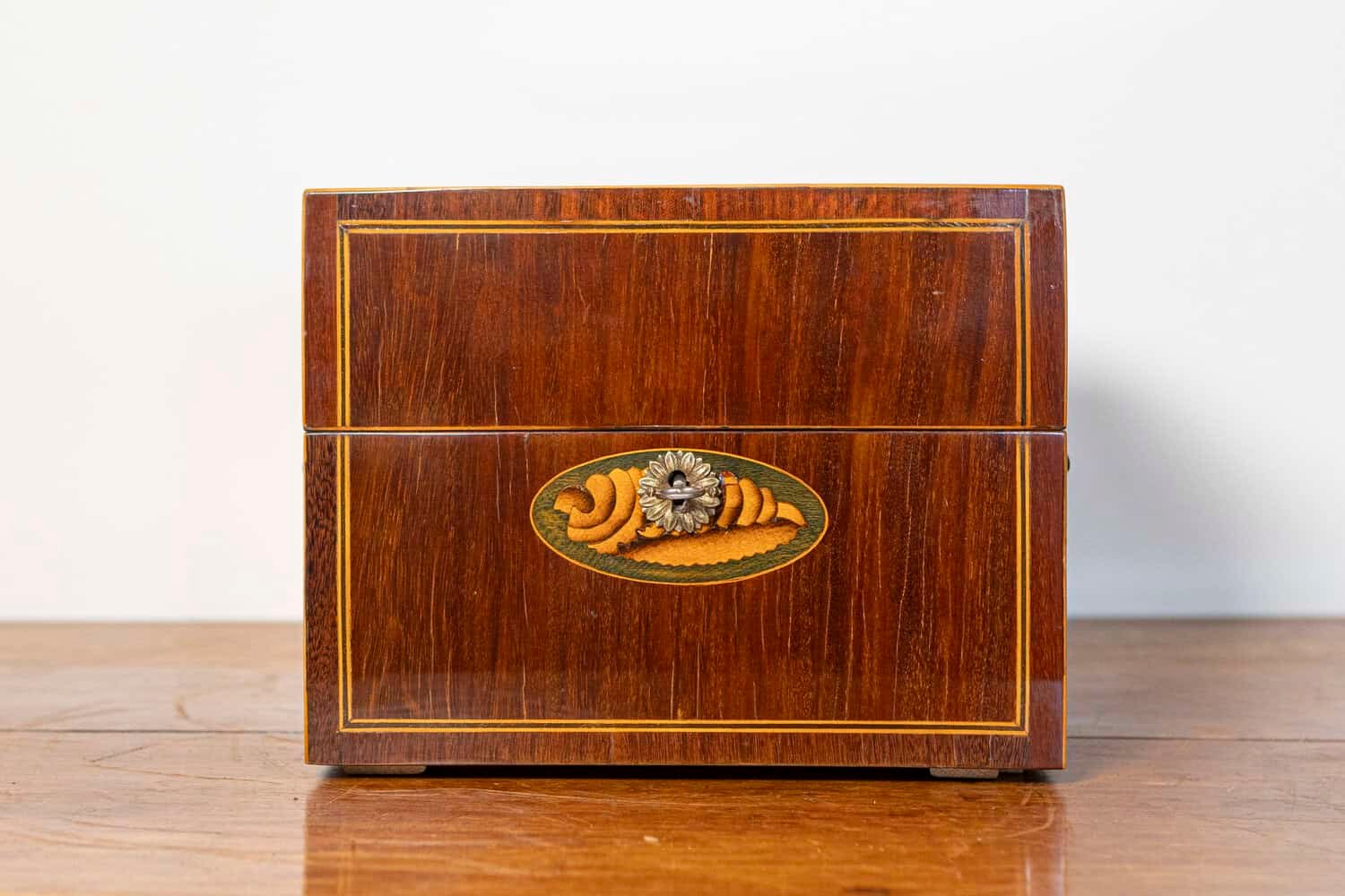 Danish 1840s Mahogany Box with Ash Shell Marquetry, Banding and Lateral Handles - JAA