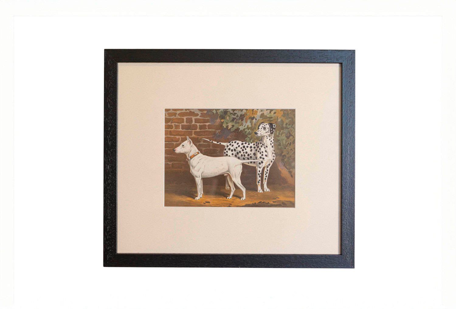 Cassell, Petter, Galpin & Co Chromolithograph Dog Prints in Black Frames - JAA