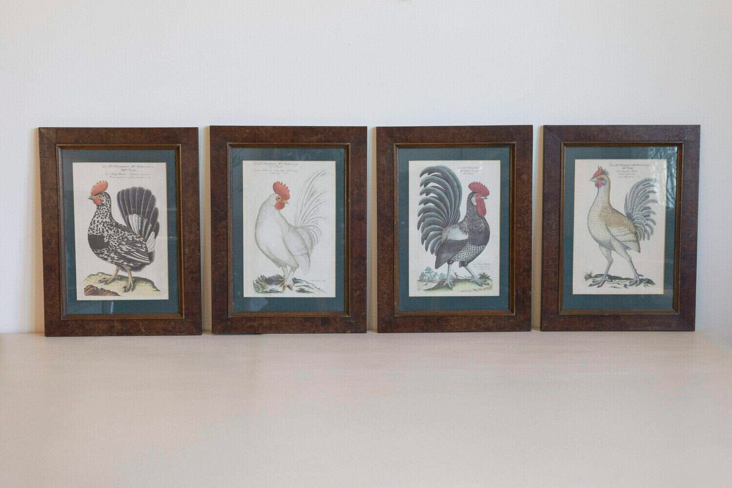 Turn of the Century German Cockerel Prints in Burr Walnut Frames, Set of Four - JAA
