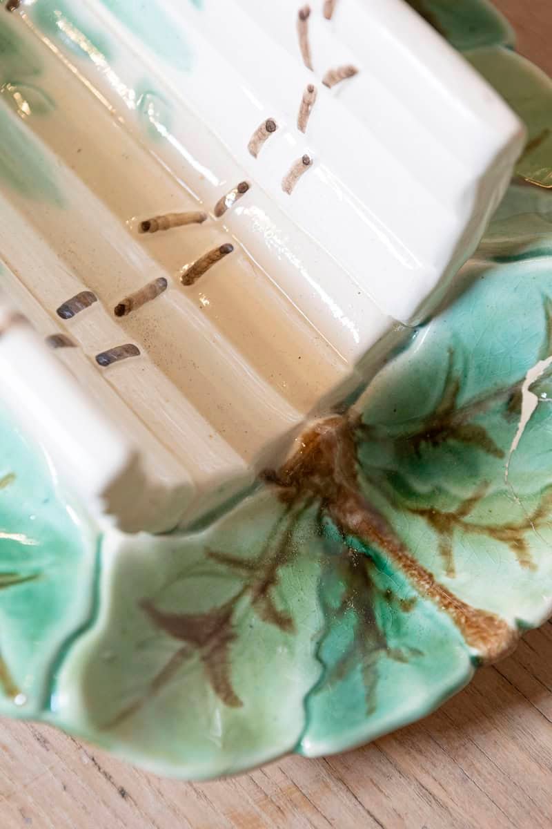 French 19th Century Longchamp Majolica Asparagus Tray with Foliage Platter - JAA