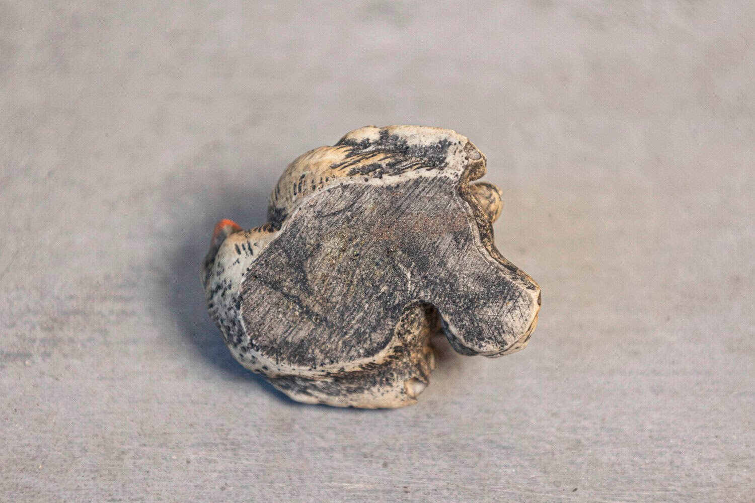 English 19th Century Victorian Carved Wooden Nesting Bird Group - JAA