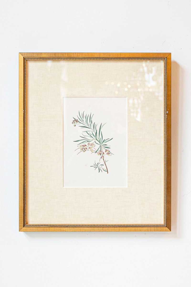 Victorian Floral Prints from The Museum of Flowers by Mary Elizabeth Rosenberg - JAA