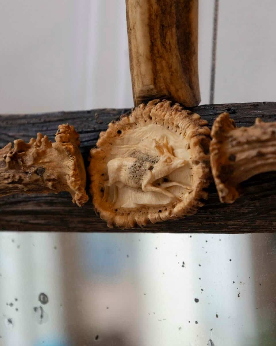 19th century Black Forest Mirror - JAA