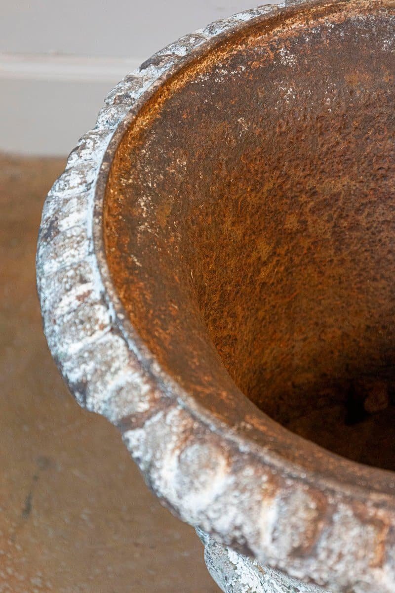 French 19th Century Urn - JAA