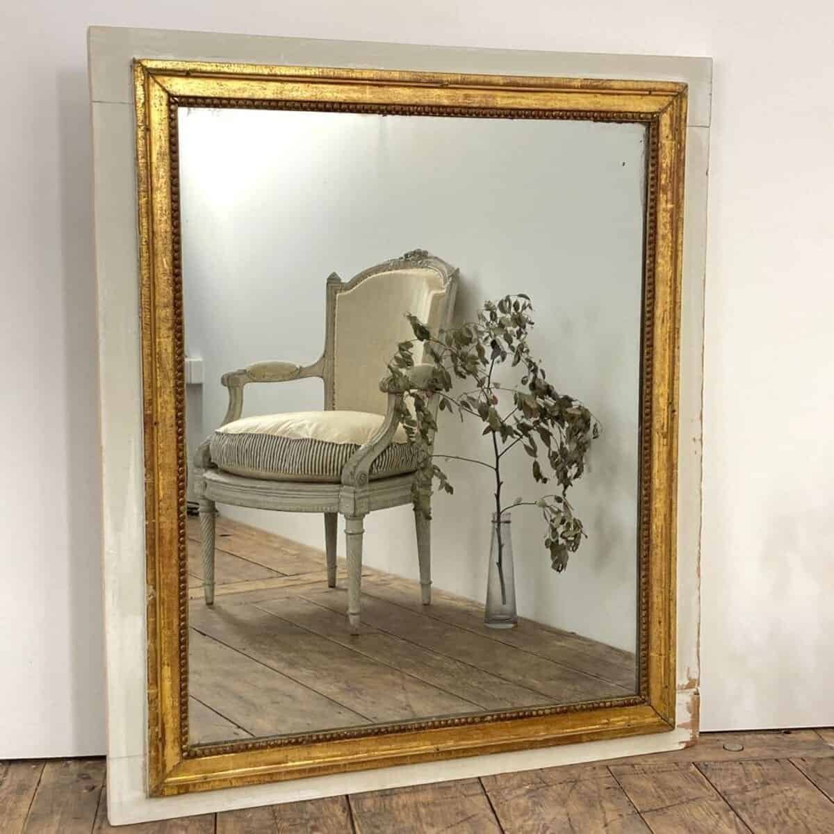 Danish 18th Century Louis XVI Paneled Mirror - JAA