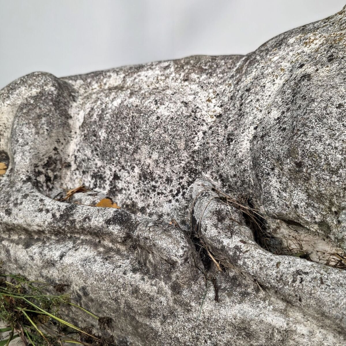 Large concrete deer, circa 1950 - JAA