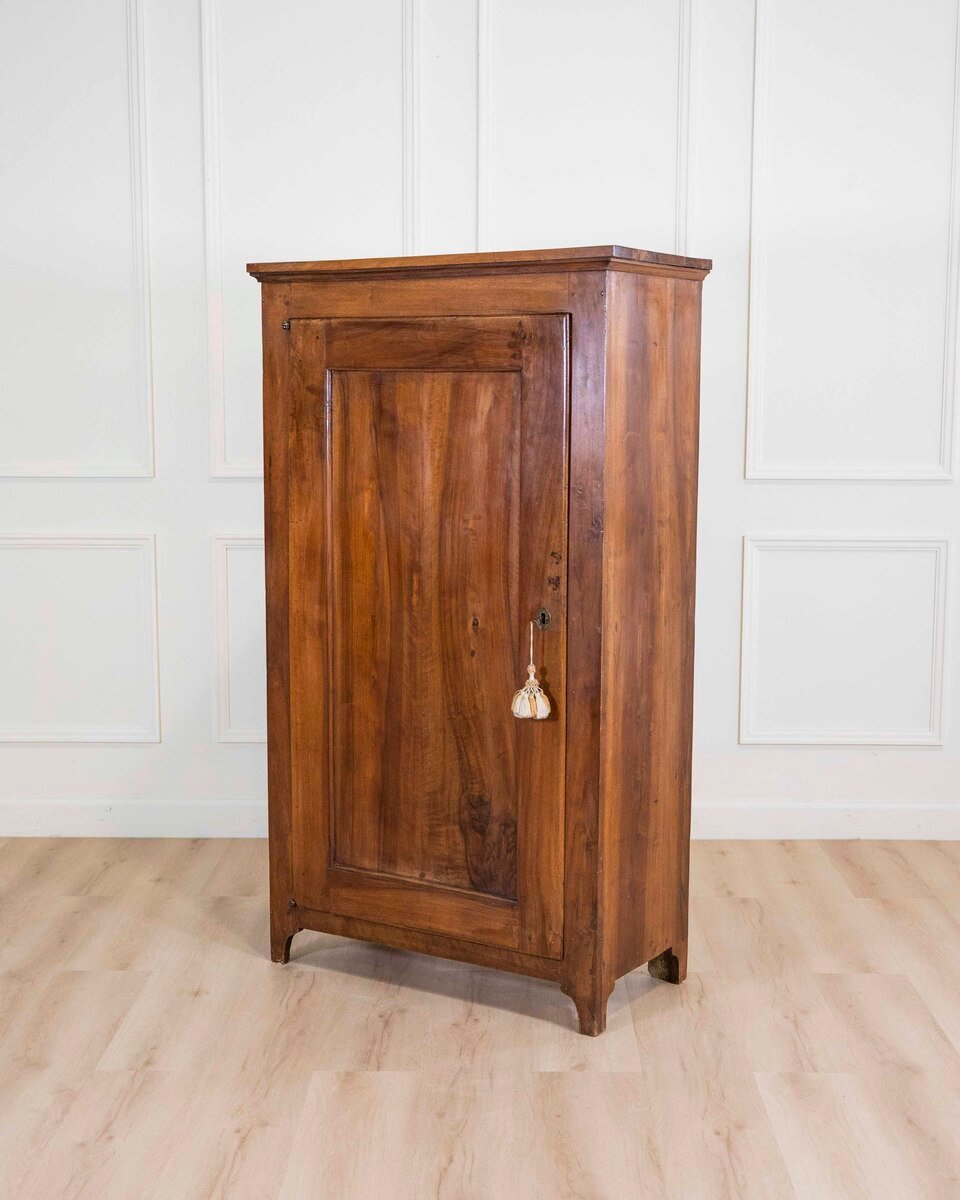 Small Antique Cabinet In Solid Walnut 19th Century Wardrobe - JAA