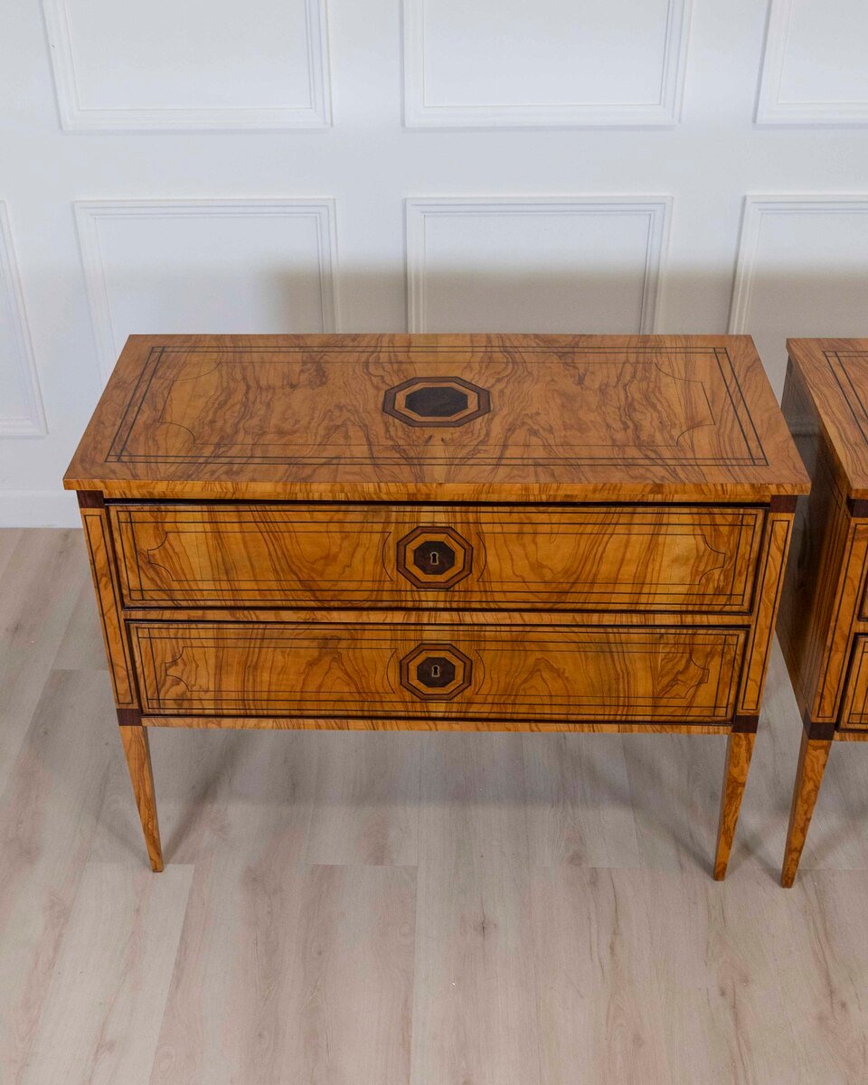 ON HOLD - Pair of Italian Neoclassical Elm Burl Veneer Commodes, Late 19th Century - JAA