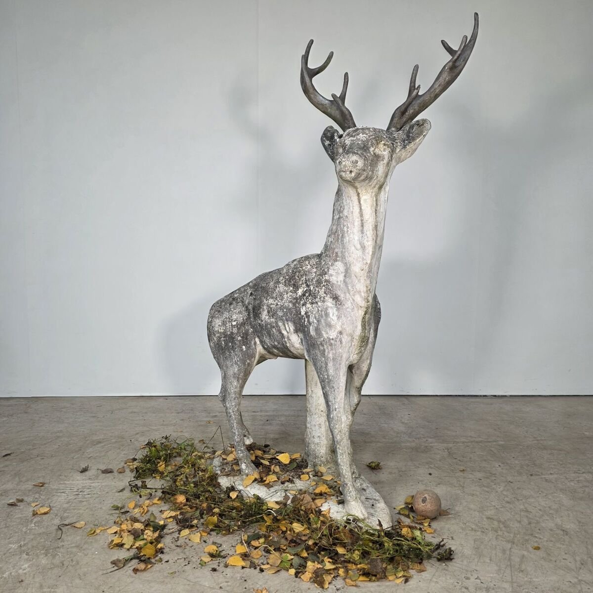 Huge early 20th concrete deer - JAA