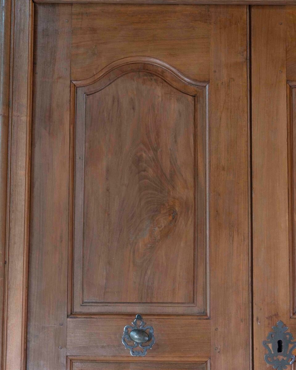 French 19th Century Double-sided Double-leaf Walnut Communication Door - JAA