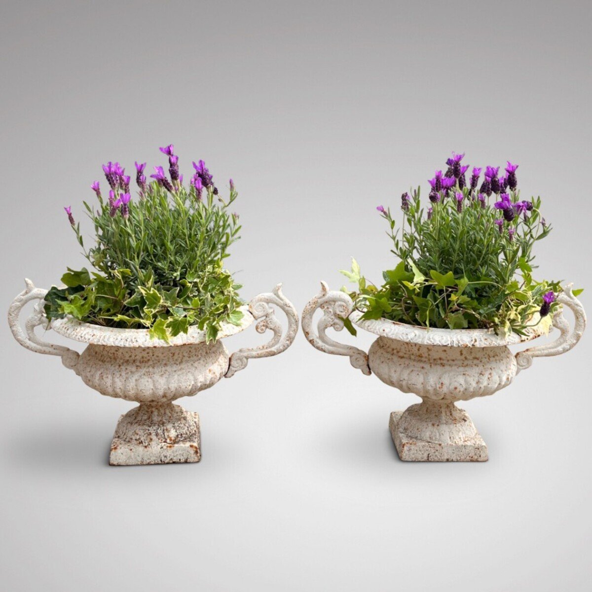 An excellent pair of 19th century cast iron garden urns with twin scrolled handles - JAA