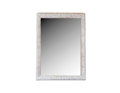 French 19th Century Louis XIV Style Carved Wood and Stucco Mirror
