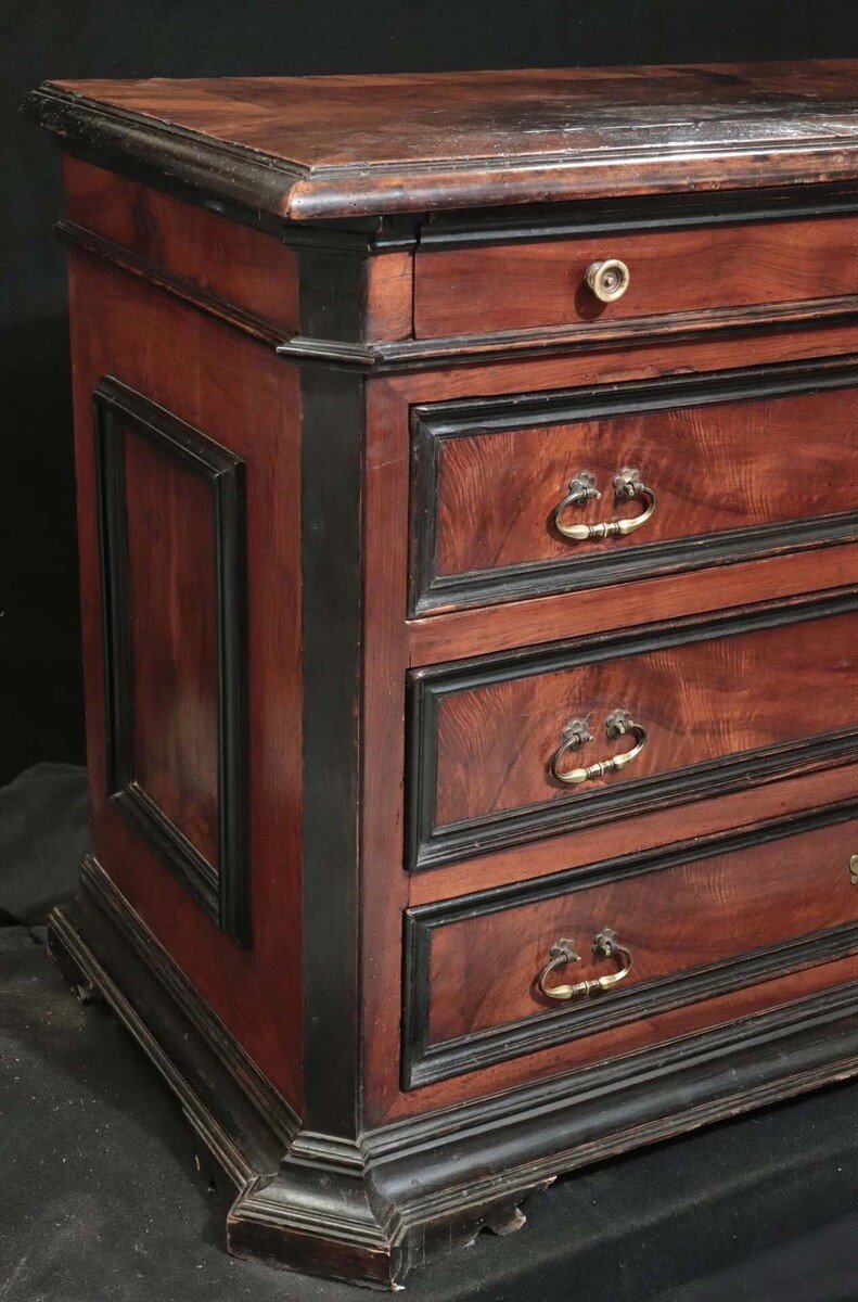 Sienese Walnut Chest of Drawers with Ebonized Moldings, 17th Century - JAA