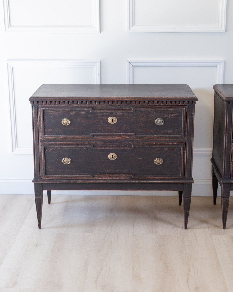 Pair of Gustavian Style Chests in black Paint, circa 1890 - JAA