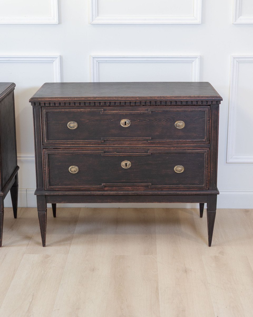 Pair of Gustavian Style Chests in black Paint, circa 1890 - JAA