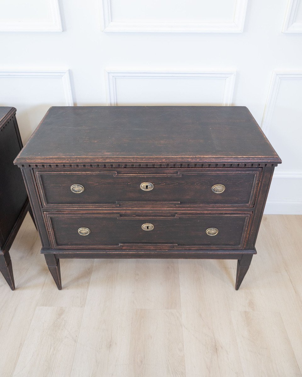 Pair of Gustavian Style Chests in black Paint, circa 1890 - JAA
