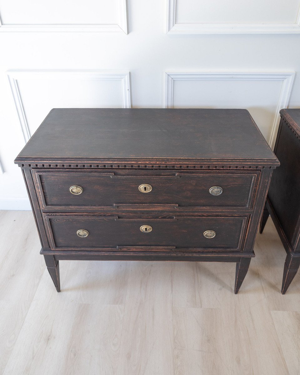 Pair of Gustavian Style Chests in black Paint, circa 1890 - JAA