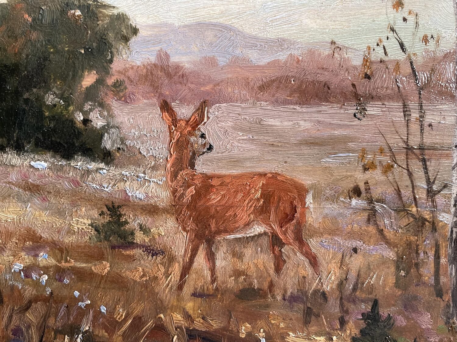 Roe Deer at the Forest Edge, Oil, Franz Hienl-Merre - JAA