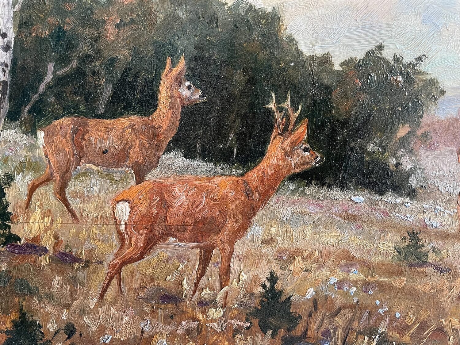 Roe Deer at the Forest Edge, Oil, Franz Hienl-Merre - JAA