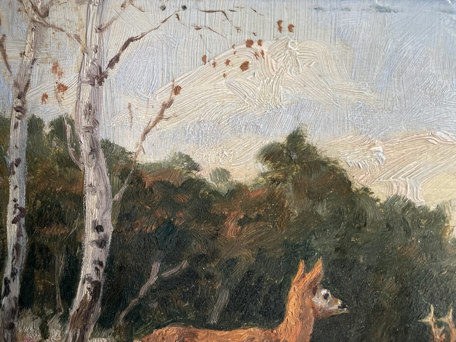 Roe Deer at the Forest Edge, Oil, Franz Hienl-Merre - JAA