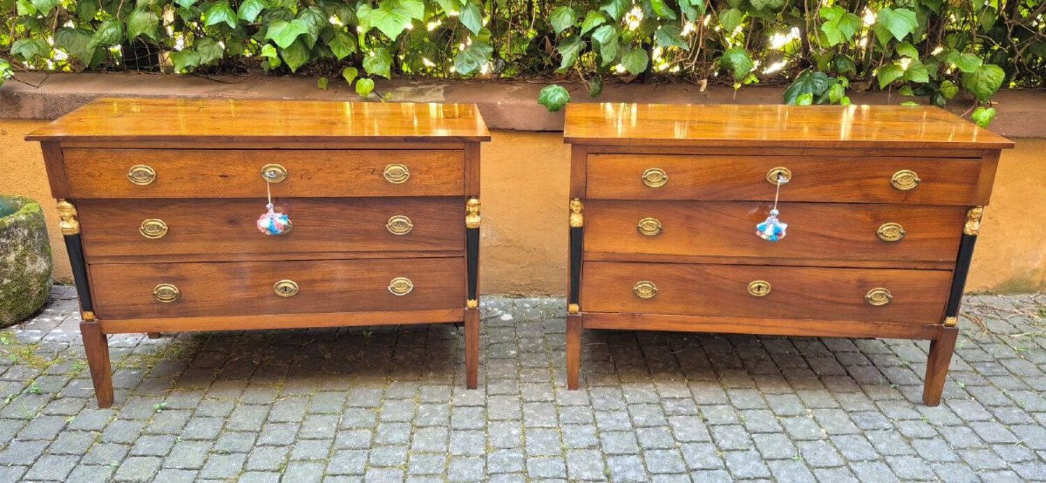 Pair of Italian Empire Walnut Commodes, Trieste, circa 1800 - JAA
