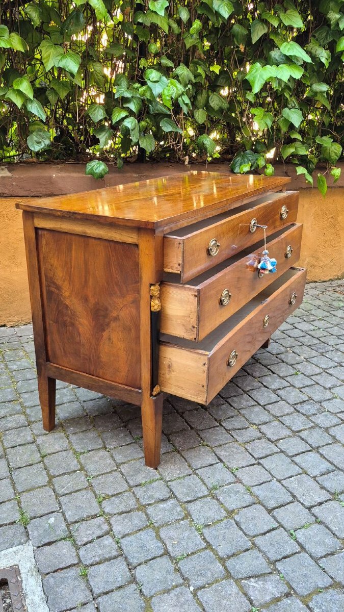 Pair of Italian Empire Walnut Commodes, Trieste, circa 1800 - JAA