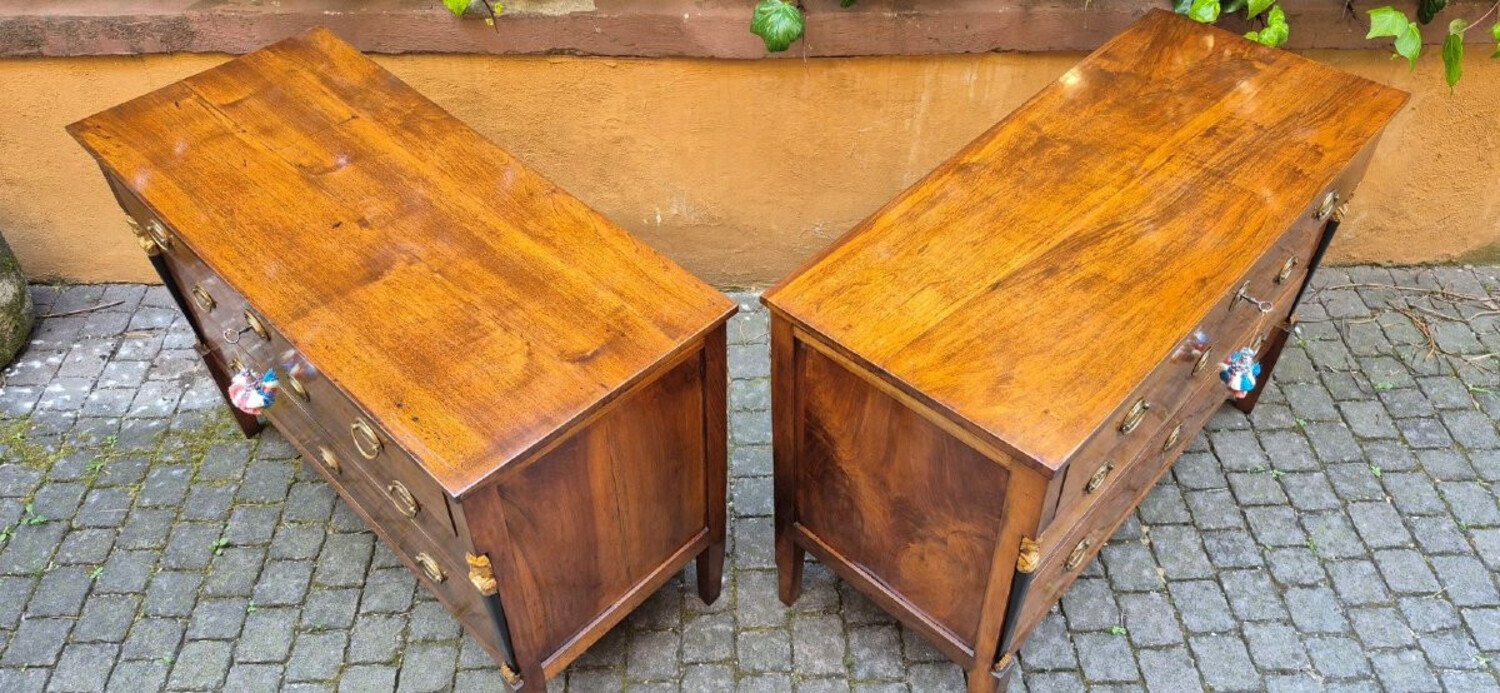Pair of Italian Empire Walnut Commodes, Trieste, circa 1800 - JAA