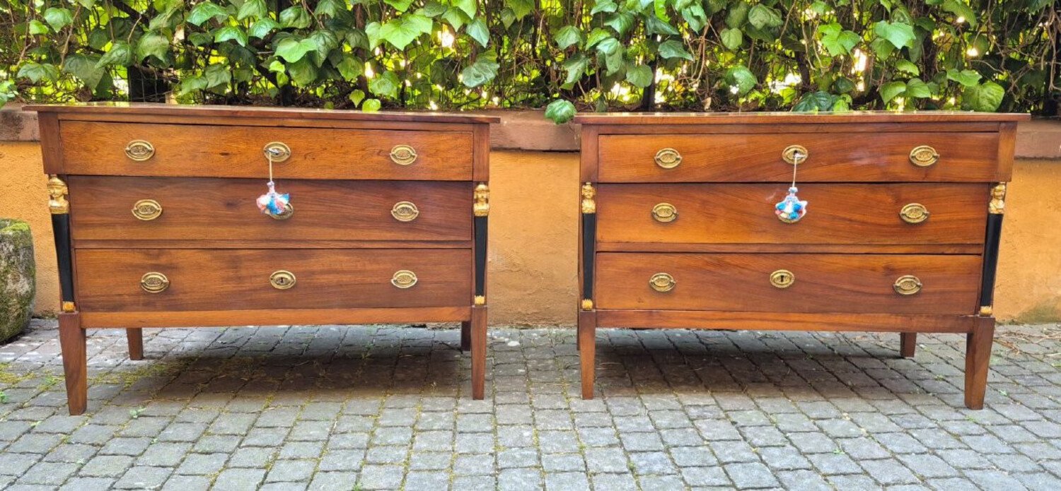 Pair of Italian Empire Walnut Commodes, Trieste, circa 1800 - JAA