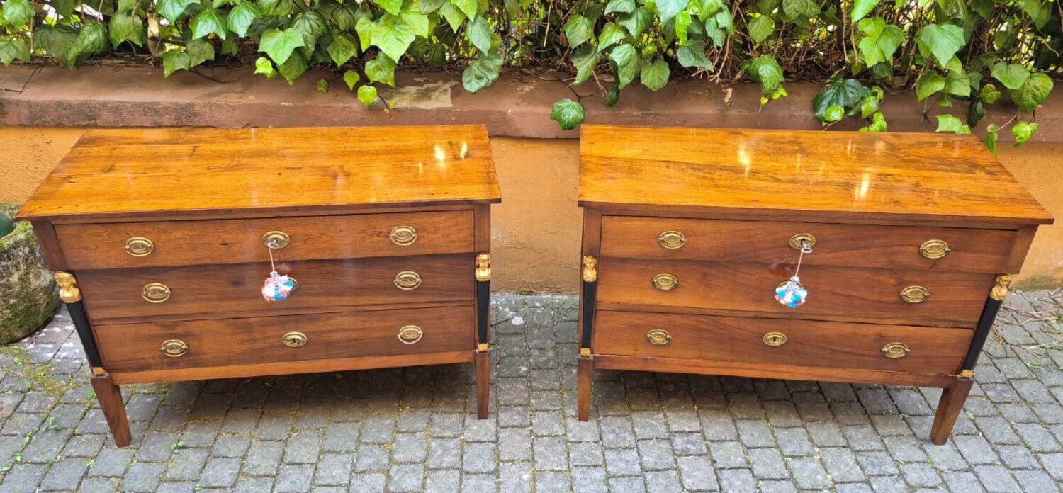 Pair of Italian Empire Walnut Commodes, Trieste, circa 1800 - JAA