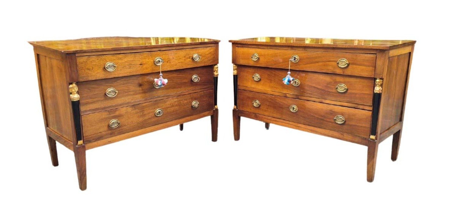 Pair of Italian Empire Walnut Commodes, Trieste, circa 1800