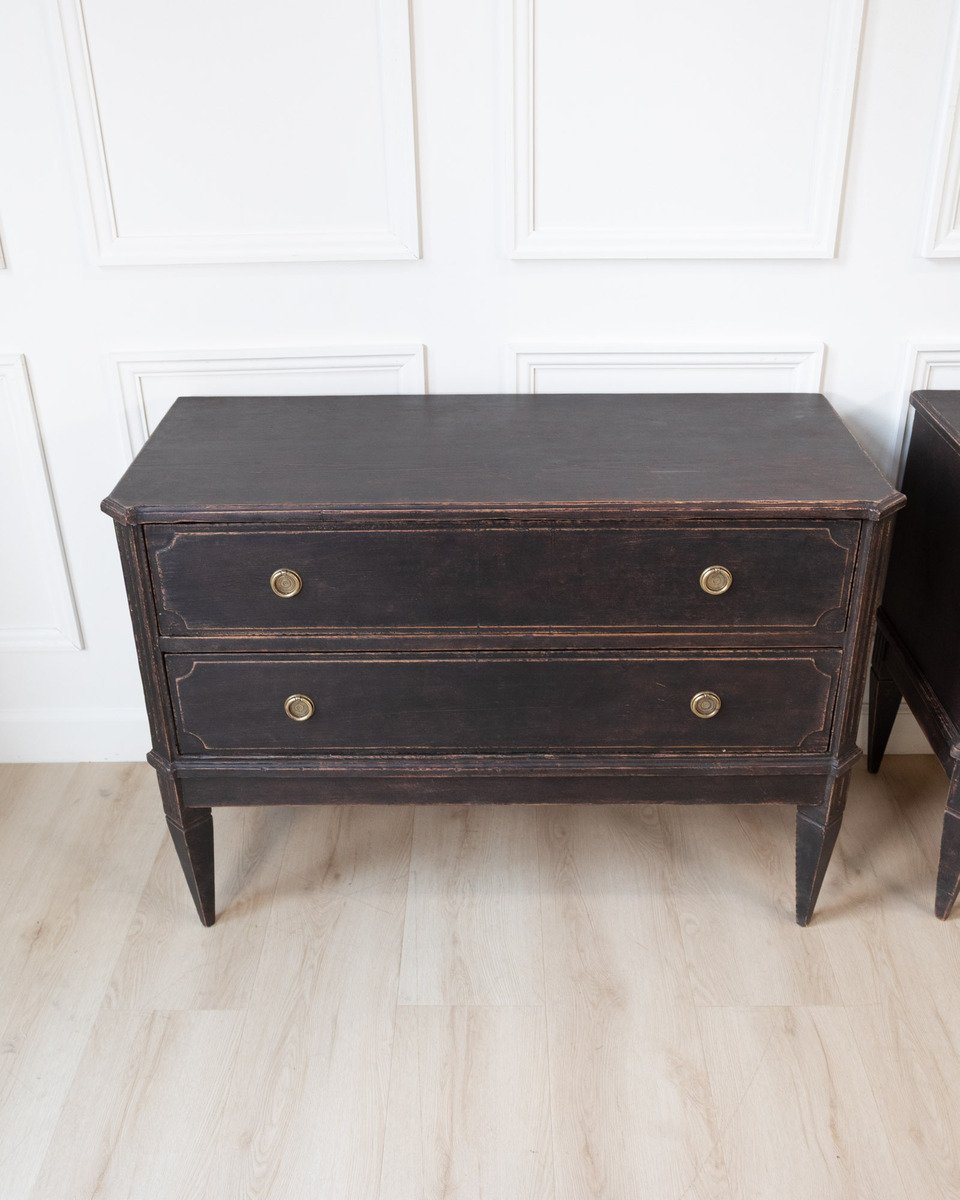 A classic pair of Gustavian-style commodes - JAA