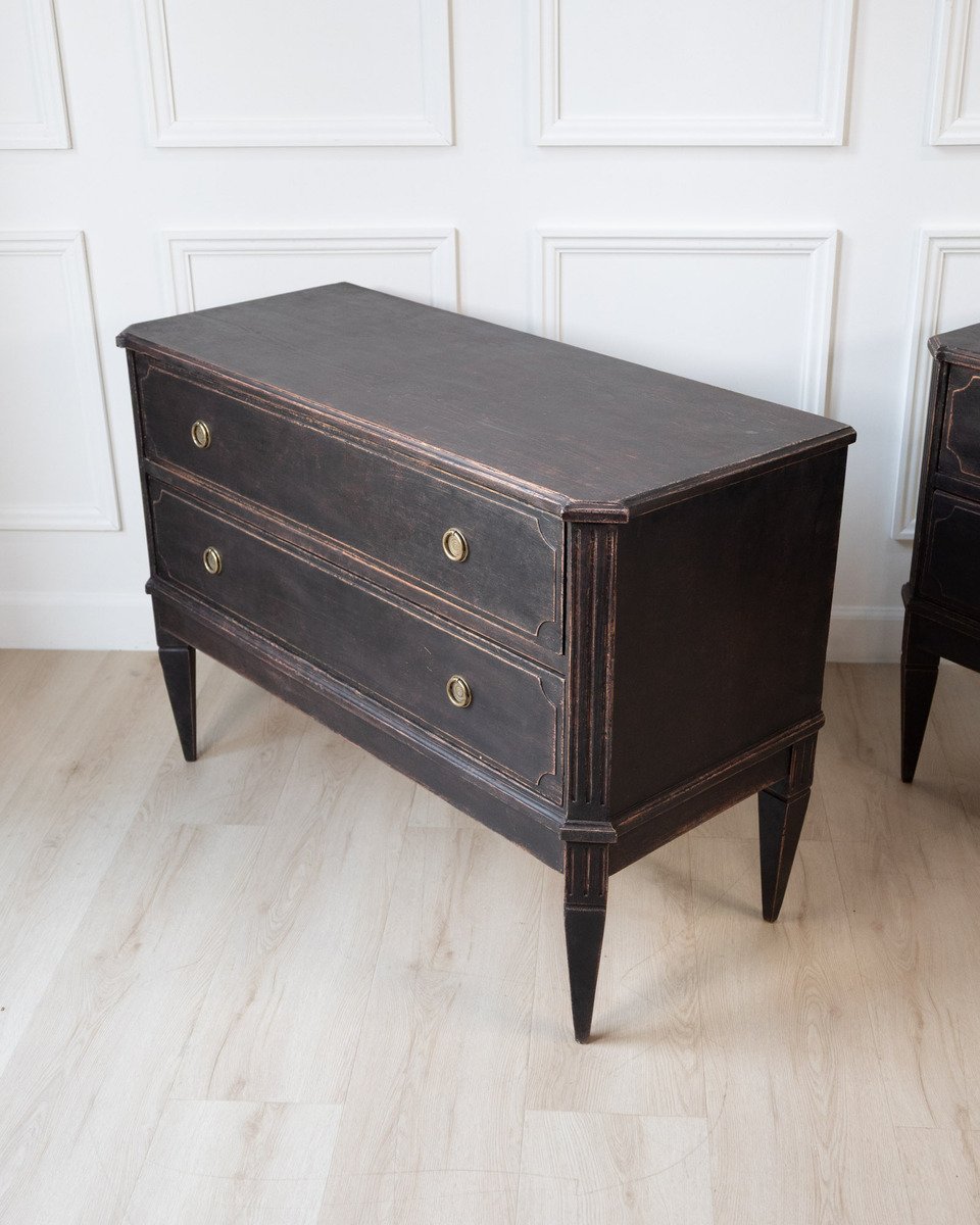 A classic pair of Gustavian-style commodes - JAA
